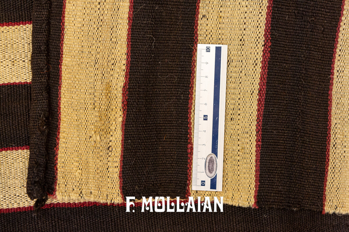 Mazandaran Kilim Rug n°:543662